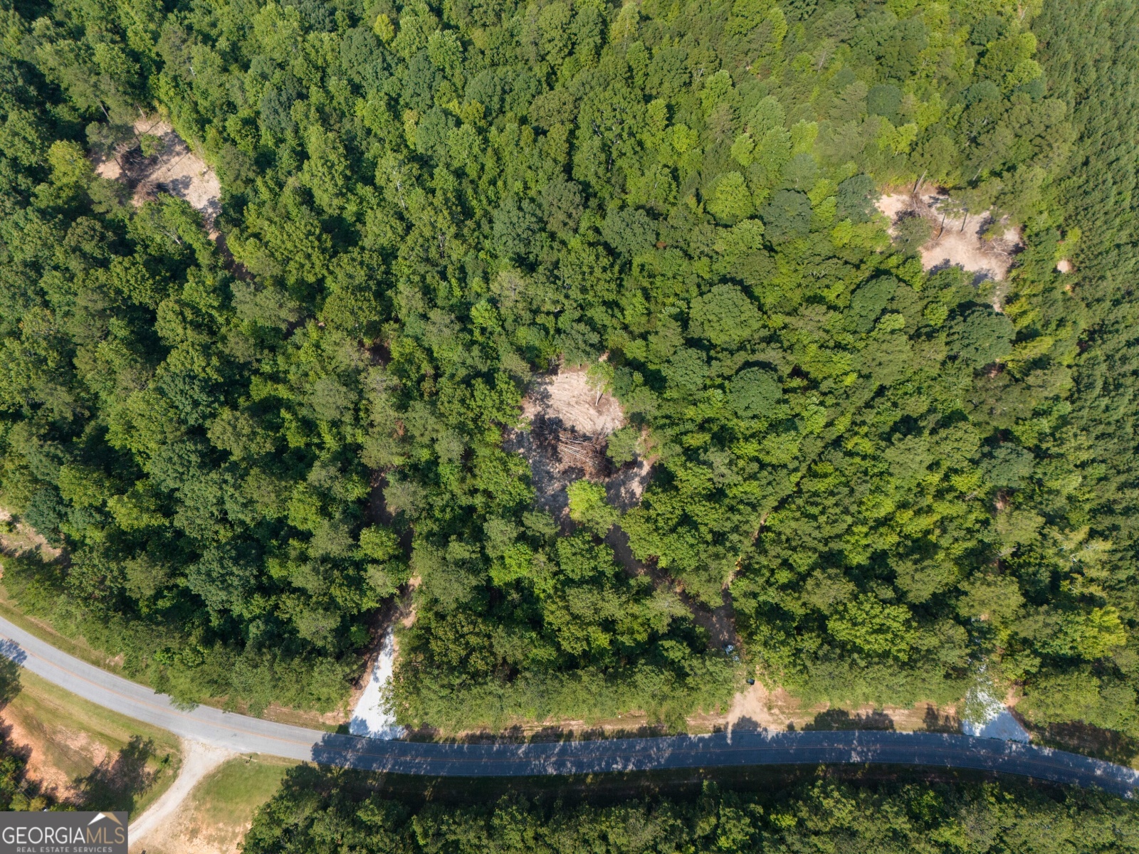 LOT 5 Gum Creek Airport Road, Roopville, Georgia 30170, ,Land,For Sale,Gum Creek Airport,9140999