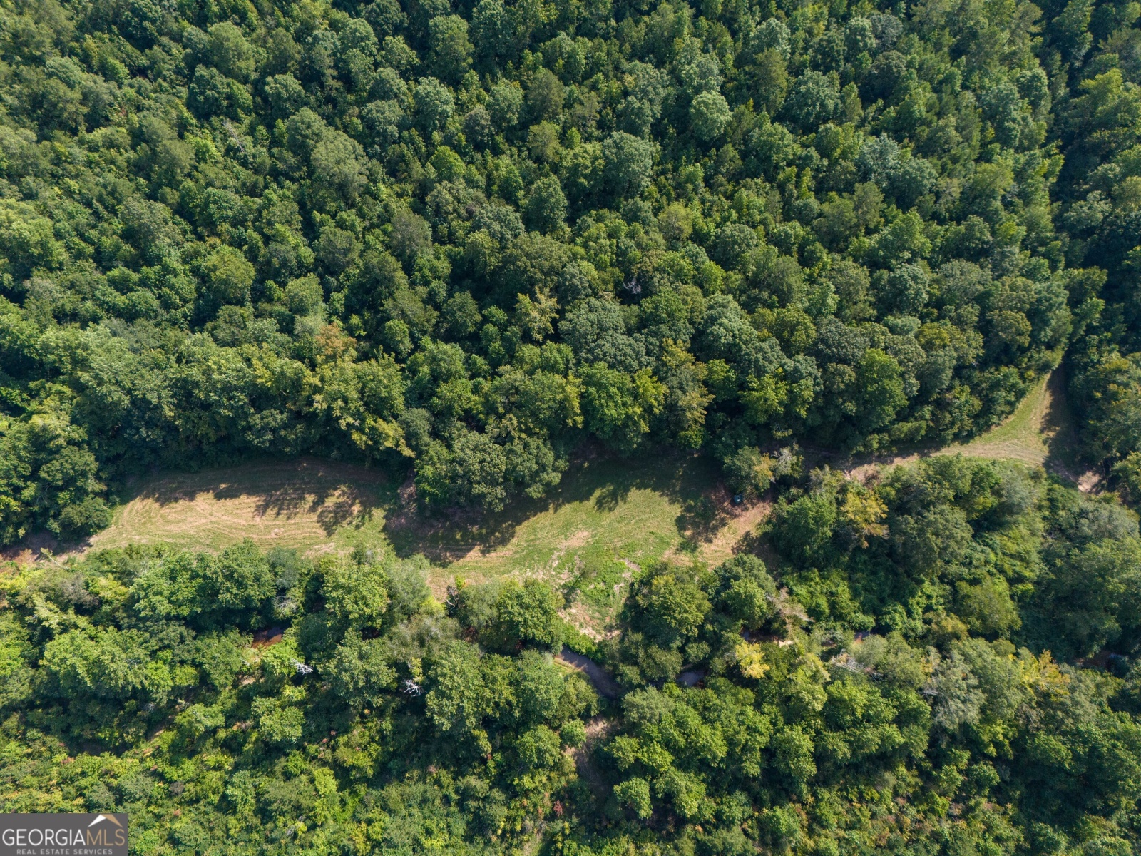 LOT 5 Gum Creek Airport Road, Roopville, Georgia 30170, ,Land,For Sale,Gum Creek Airport,9140999