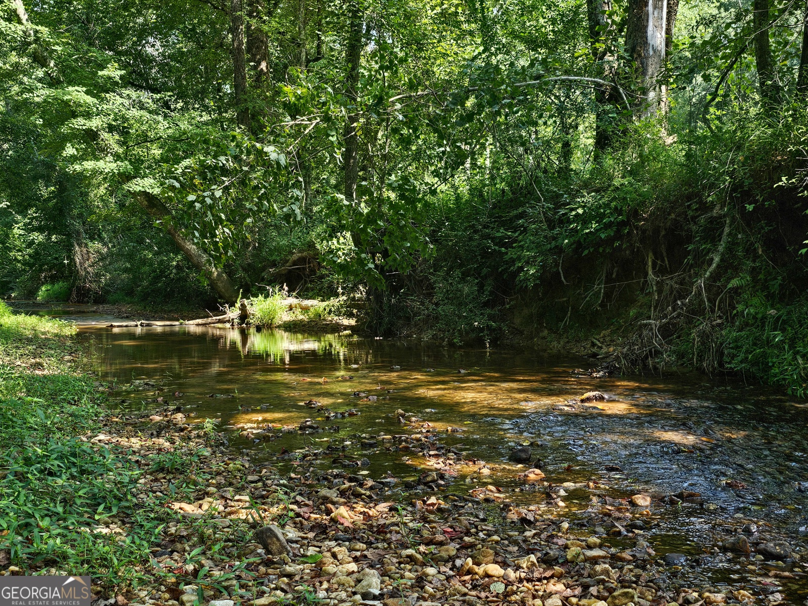 LOT 5 Gum Creek Airport Road, Roopville, Georgia 30170, ,Land,For Sale,Gum Creek Airport,9140999