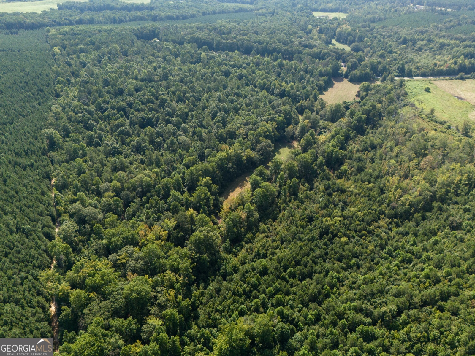 LOT 5 Gum Creek Airport Road, Roopville, Georgia 30170, ,Land,For Sale,Gum Creek Airport,9140999