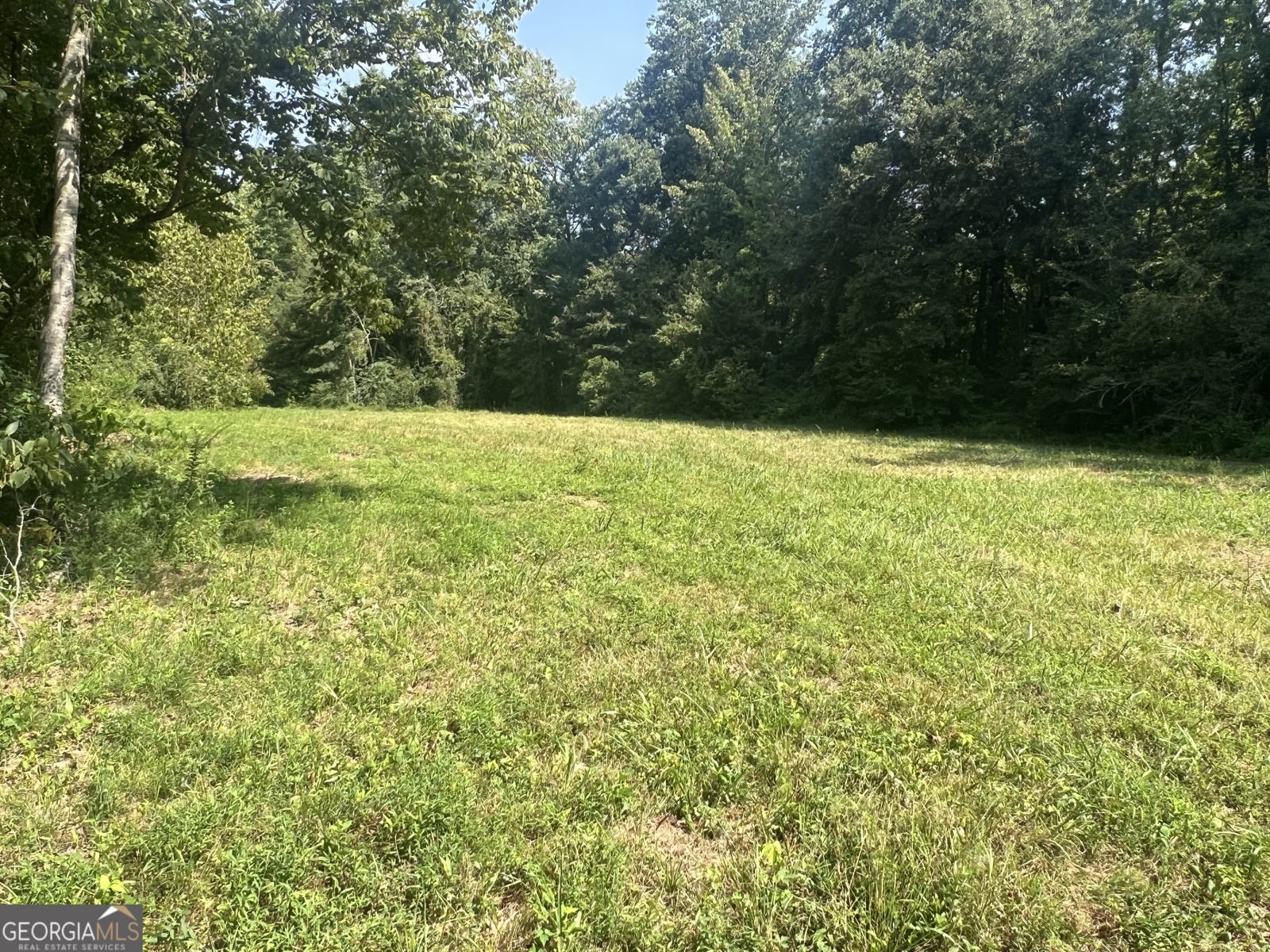 LOT 5 Gum Creek Airport Road, Roopville, Georgia 30170, ,Land,For Sale,Gum Creek Airport,9140999