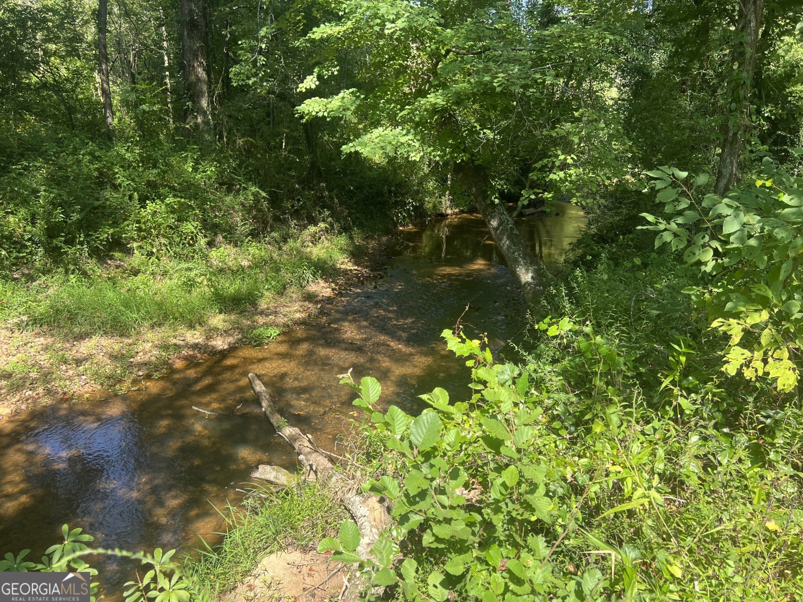 LOT 5 Gum Creek Airport Road, Roopville, Georgia 30170, ,Land,For Sale,Gum Creek Airport,9140999