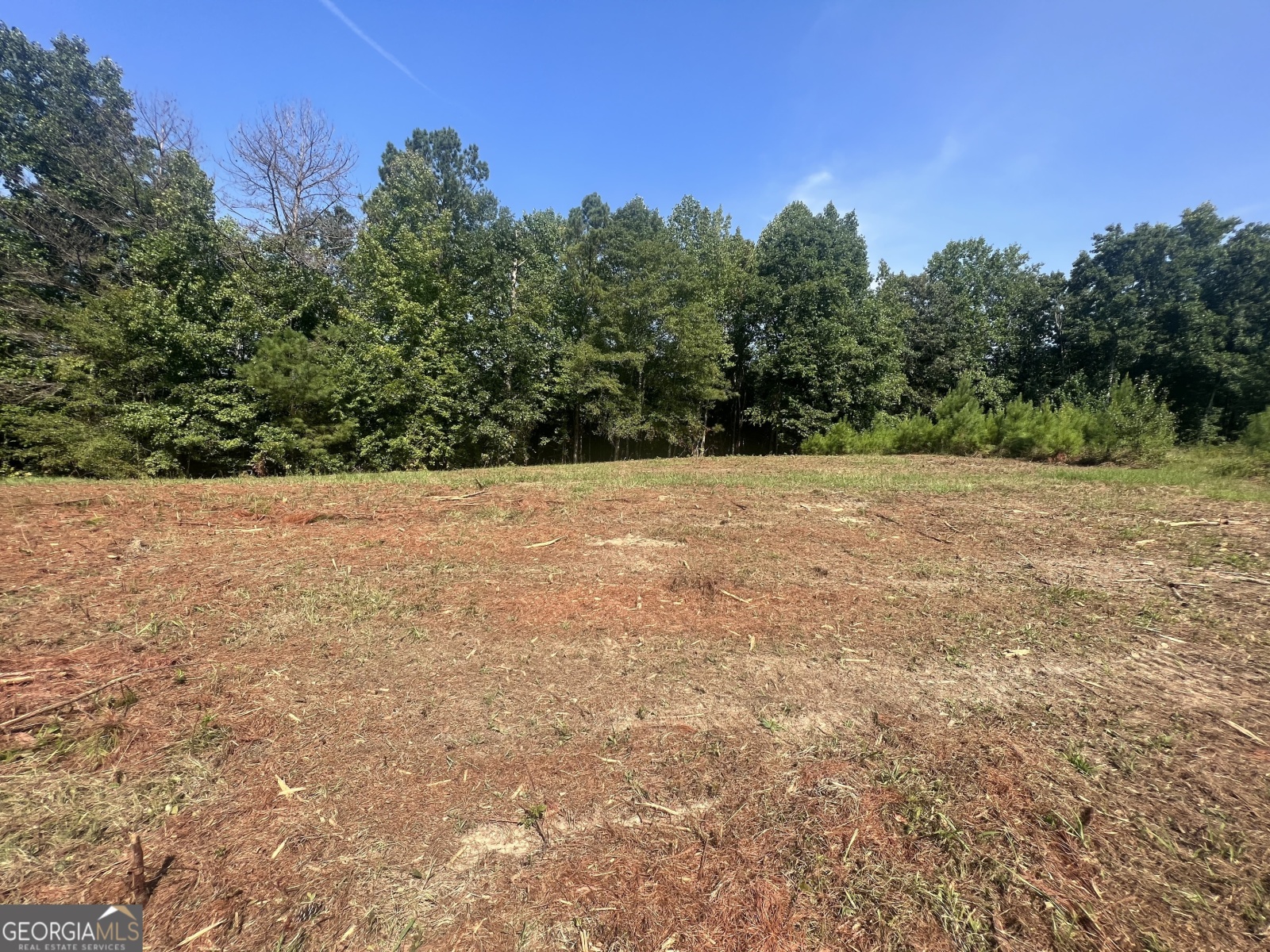 LOT 5 Gum Creek Airport Road, Roopville, Georgia 30170, ,Land,For Sale,Gum Creek Airport,9140999