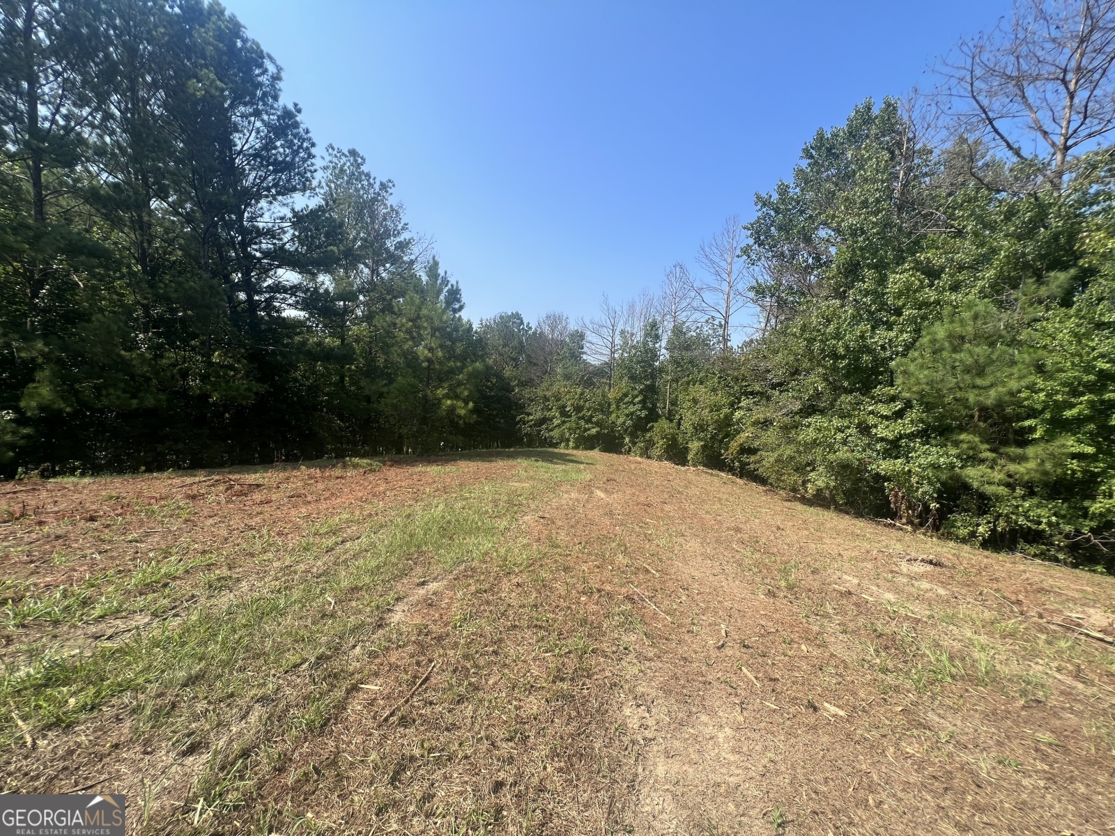 LOT 5 Gum Creek Airport Road, Roopville, Georgia 30170, ,Land,For Sale,Gum Creek Airport,9140999