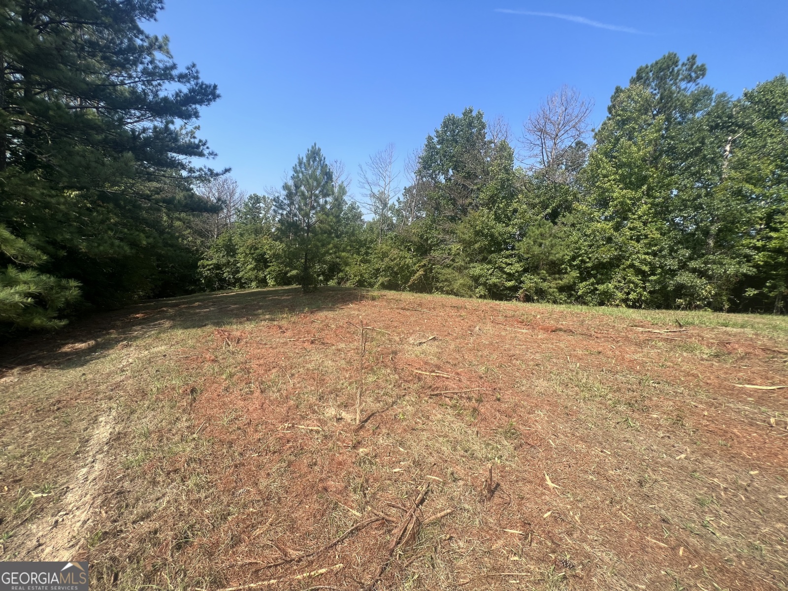 LOT 5 Gum Creek Airport Road, Roopville, Georgia 30170, ,Land,For Sale,Gum Creek Airport,9140999