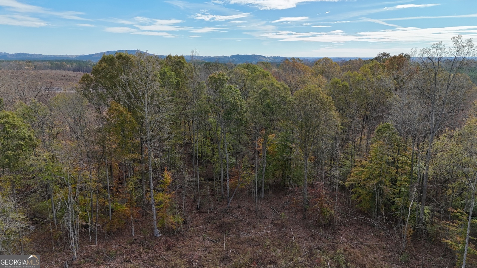 0 Monroe Mill, Buchanan, Georgia 30113, ,Land,For Sale,Monroe Mill,9141109