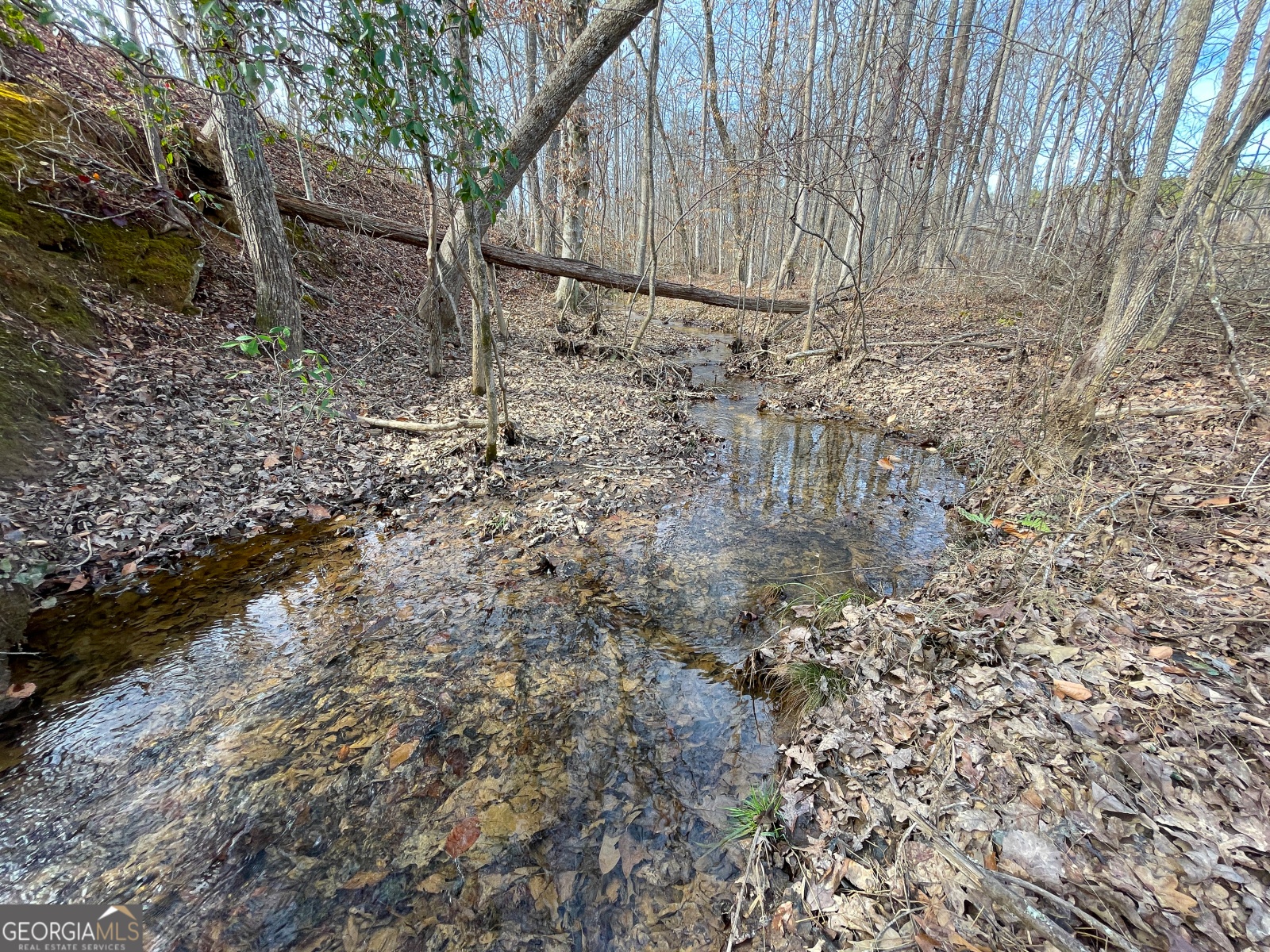 0 Monroe Mill, Buchanan, Georgia 30113, ,Land,For Sale,Monroe Mill,9141109