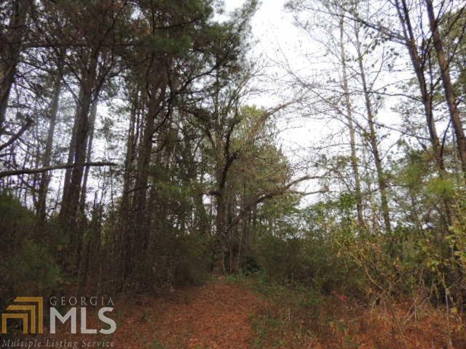 2342 Highway 34, Newnan, Georgia 30265, ,Land,For Sale,Highway 34,8708411