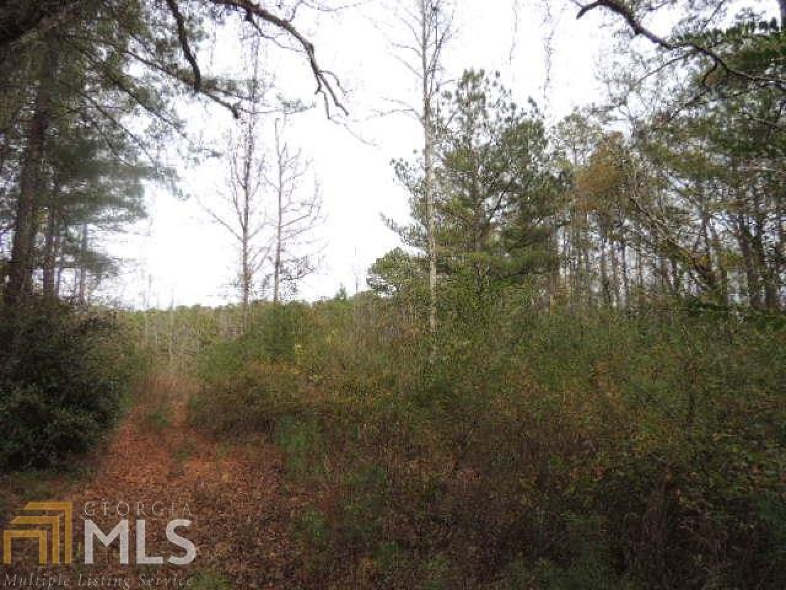 2342 Highway 34, Newnan, Georgia 30265, ,Land,For Sale,Highway 34,8708411